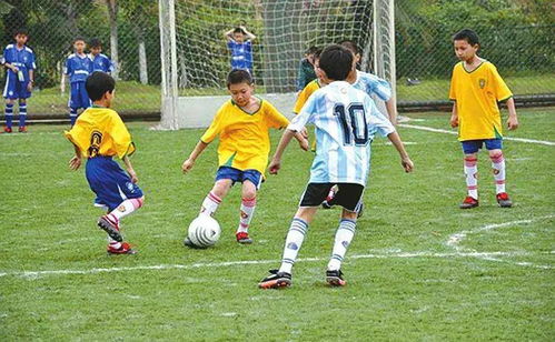 校園足球周作文