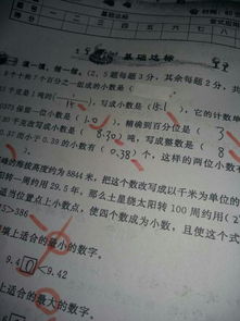 校園裝修后的變化作文