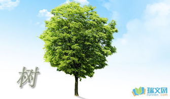 校園的一棵樹作文寫景