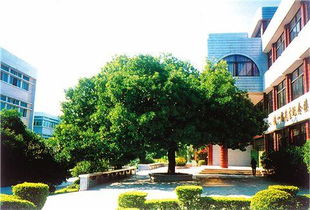 四級(jí)美麗的校園風(fēng)景作文400字