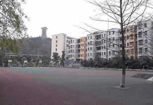 廣元北街校園介紹作文