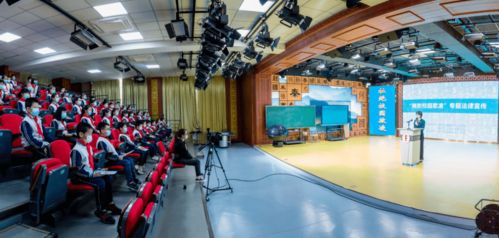 校園欺凌初中作文400字