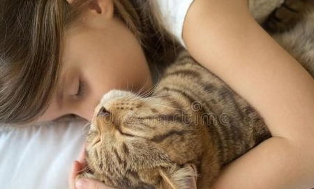 家有小孩養(yǎng)貓注意事項