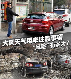 大風天氣停車注意事項