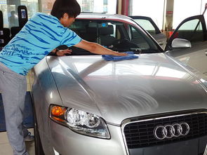 新車自己打蠟注意事項