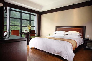 注意事項(xiàng),拍照,酒店