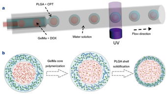 制備微膠囊注意事項(xiàng)