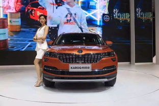 注意事項,斯柯達