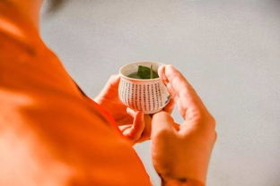 密宗供水注意事項