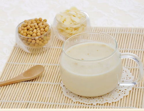 煮豆?jié){注意事項