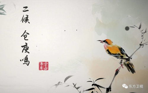 驚蟄,小人,注意事項