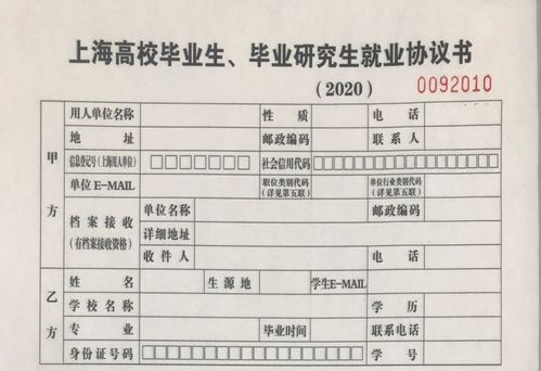 就業(yè)系統(tǒng)填寫(xiě)注意事項(xiàng)