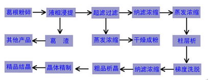 發(fā)明葛根素分離提取技術(shù)的科學(xué)家,葛根素的分離提取用到了那些技術(shù)?,葉綠素的提取和分離實驗注意事項