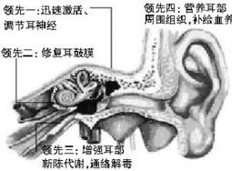 神經性耳鳴注意事項,耳鳴注意事項和飲食,神經性耳鳴飲食注意事項