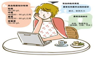 貧血,注意事項,女性