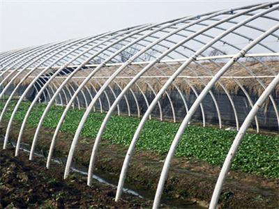 大棚育苗注意事項(xiàng),下雪大棚注意事項(xiàng),大棚種植注意事項(xiàng)
