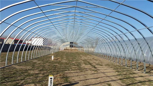 搭建大棚注意事項(xiàng)