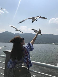 去北海道跟團(tuán)旅游注意事項(xiàng)