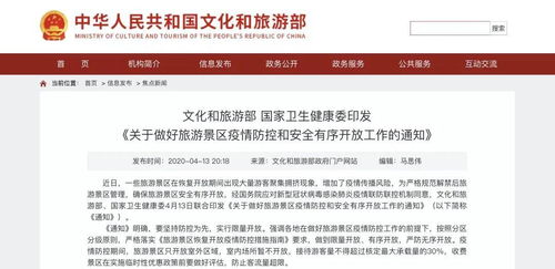 細則,志愿者,外出,注意事項