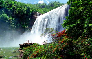 旅游的注意事項(xiàng),青海旅游注意事項(xiàng),朝鮮旅游注意事項(xiàng)