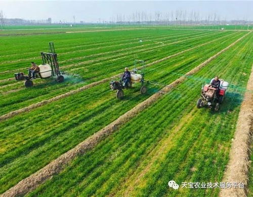 種地,大戶,注意事項(xiàng)