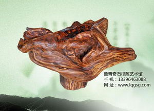 初學(xué)根雕注意事項(xiàng),同行業(yè)合作注意事項(xiàng),銷售行業(yè)注意事項(xiàng)