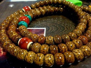 星月,菩提,注意事項