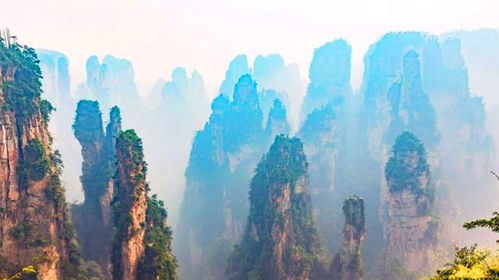 去張家界的注意事項(xiàng),張家界國家森林公園注意事項(xiàng),張家界玻璃棧道注意事項(xiàng)