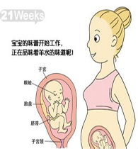 懷孕幾周要注意什么,懷孕前幾周注意事項(xiàng),懷孕2-3周注意事項(xiàng)