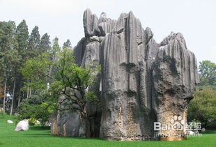 到云南旅游注意事項