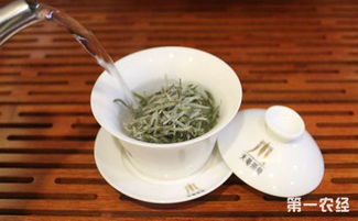 白茶白茶沖泡的注意事項(xiàng)