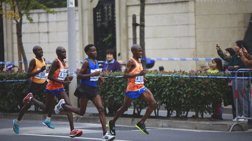 馬拉松,兩周,注意事項(xiàng)