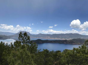 北海道,注意事項(xiàng),跟團(tuán),旅游