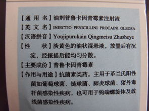 青霉素,應(yīng)注意,口服,事項(xiàng)