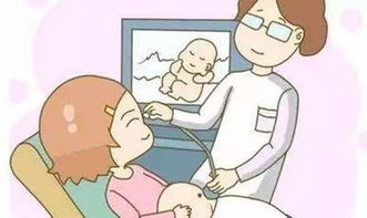 孕期出行旅游注意事項(xiàng),孕期注意事項(xiàng)及飲食禁忌,孕期養(yǎng)貓注意事項(xiàng)