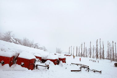 西嶺山自駕游注意事項