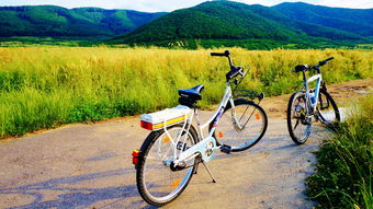 跑步自行車的注意事項