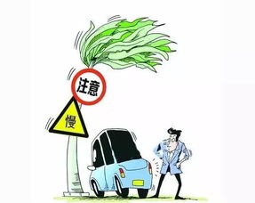 大風天氣行車注意事項,大風天氣行車安全注意事項,大風天氣安全注意事項