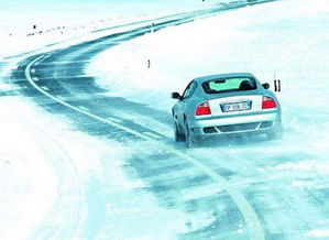 開(kāi)右肽車注意事項(xiàng)