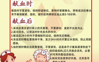 獻血注意事項主要幾點女生,獻血注意事項主要幾點,獻血注意事項和禁忌癥