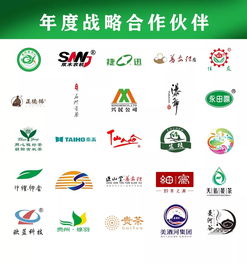 茶藝技能大賽的注意事項(xiàng)