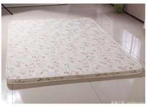 注意事項(xiàng),買棕墊