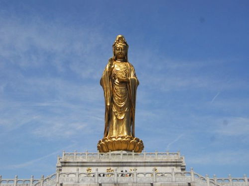 舟山普陀山求子注意事項,去普陀山求子注意事項,普陀山求子有何注意事項