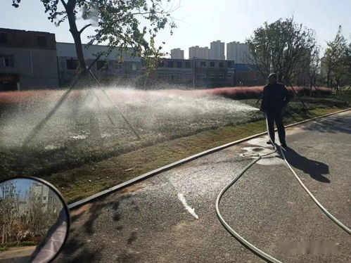 園林植物灌溉注意事項(xiàng)