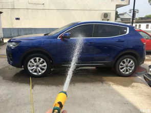 打蠟,新車,注意事項