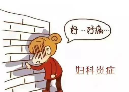 月經(jīng)期注意事項和飲食禁忌,月經(jīng)期注意事項和禁忌,狗狗月經(jīng)期注意事項