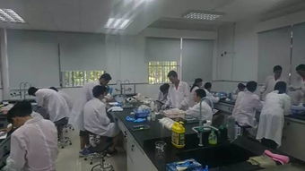 碘鐘實(shí)驗(yàn)的注意事項(xiàng),碘鐘反應(yīng)實(shí)驗(yàn)報(bào)告注意事項(xiàng),海帶提碘實(shí)驗(yàn)注意事項(xiàng)