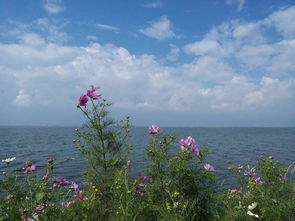 洱海旅游注意事項