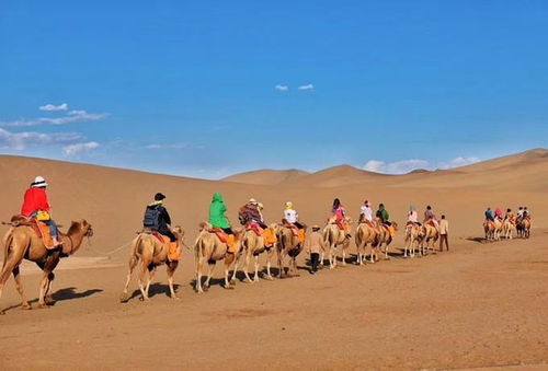 8月青海旅游注意事項(xiàng)出行小貼士,去青海旅游注意事項(xiàng),青海旅游注意事項(xiàng)出行小貼士