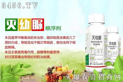 滅幼脲注意事項(xiàng)